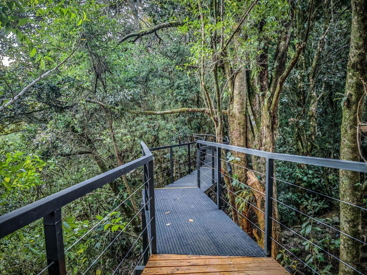 Cloud Forest Lodge By Boeena Monteverde Luaran gambar